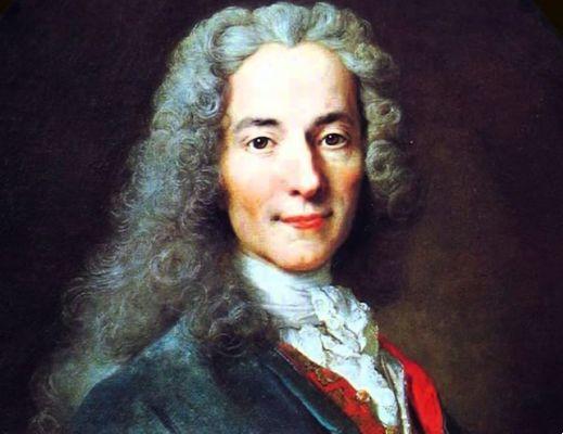 Voltaire Contributi più importanti