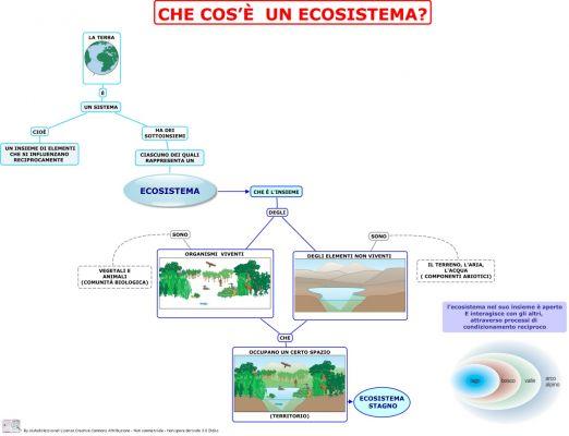 Tipi di ecosistemi e le loro caratteristiche