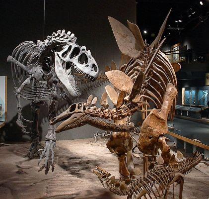 Origine e classificazione dei dinosauri